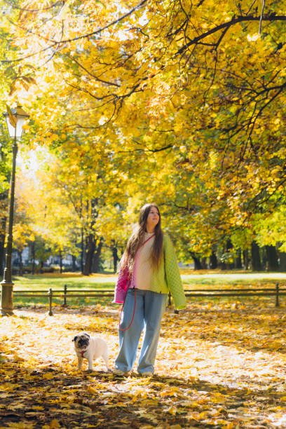 Front view of happy female in colourful sweater and jeans having fun with her pug in shiny public park full of autumn yellow leaf colours on the trees and on th ground in Krakow city