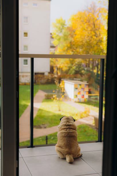 istock Cozy Autumn Time at Home 2164963847