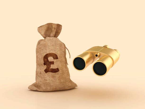 istock 3D Binoculars with Pound Money Sack 2164964839