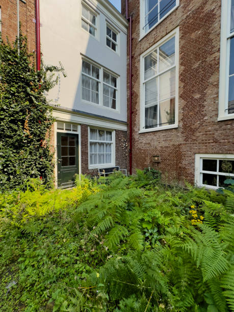 istock Overgrown domestic garden 2164967534