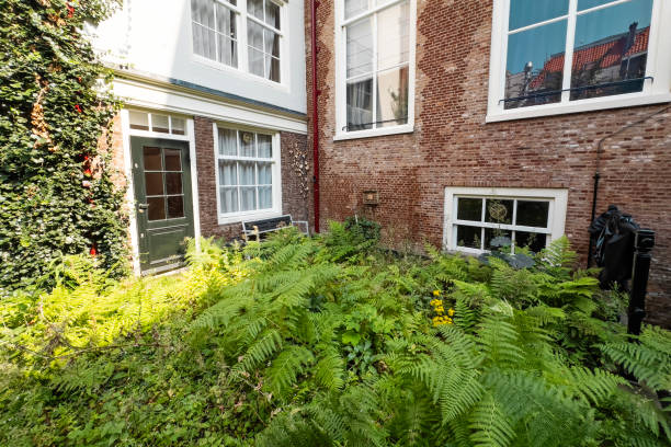istock Overgrown domestic garden 2164967536
