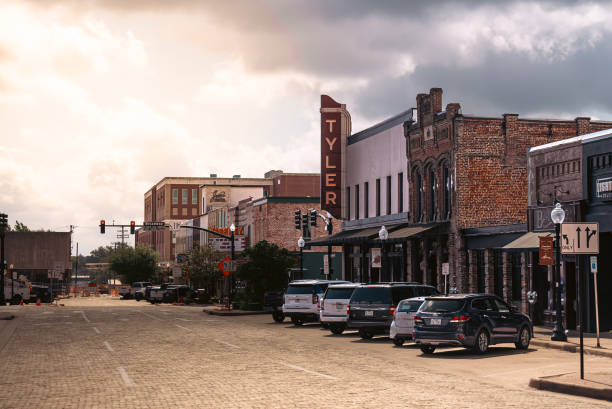 istock Power Lines in Tyler, Texas 2164971395