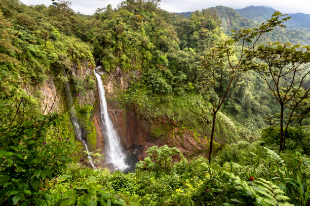 istock Voyage au costa rica 2164978511