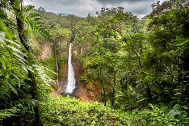 istock Voyage au costa rica 2164978513