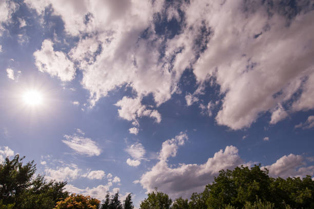 Summer sky with a sun and tip of the trees