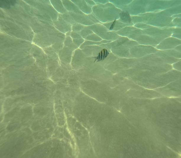 istock Deep photo of the beach 2164986947