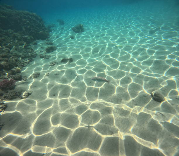 istock Deep photo of the beach 2164986969