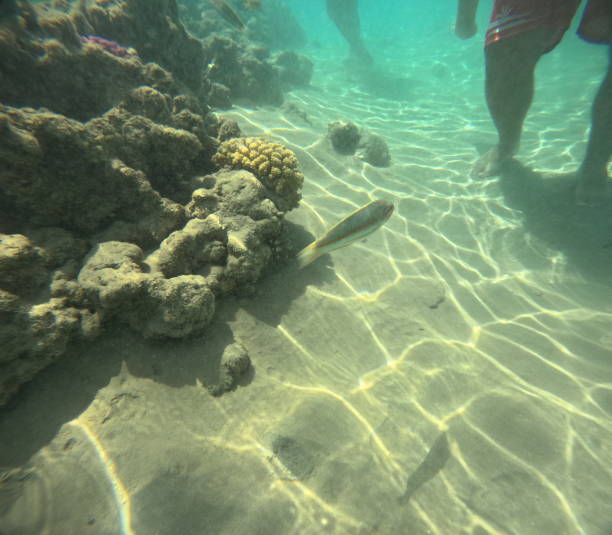 istock Deep photo of the beach 2164986972