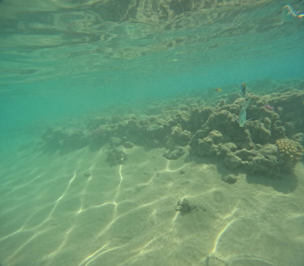 A beautiful beach photo that may or may not include fish!!
