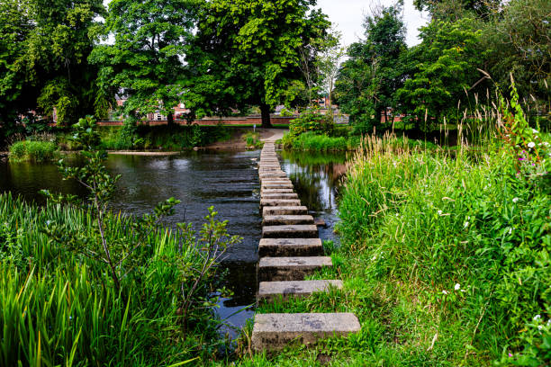 istock Stepping Stones over River Wansbeck in Morpeth 2164989378