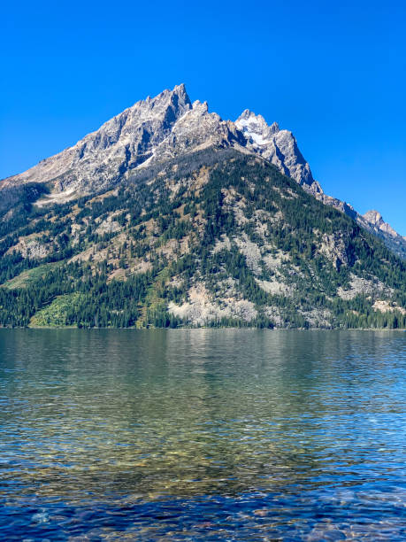 istock Jenny Lake Overlook 2164998126