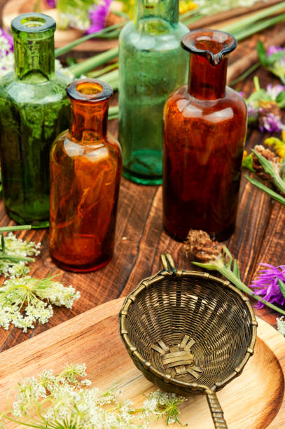 A man collects medicinal herbs in a field. Selective focus. Nature.