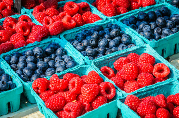 istock Berries of Blue and Red 2165006548