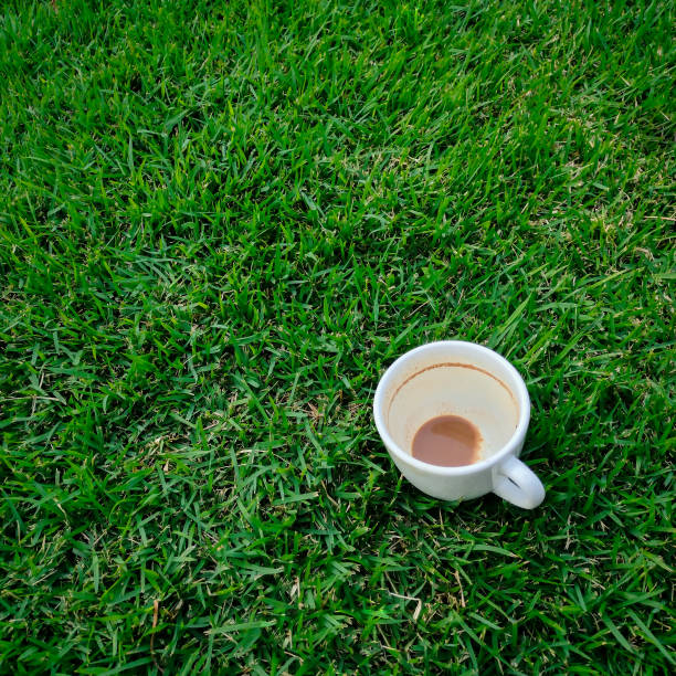 A lone white coffee cup sits on a lush green lawn. The remaining coffee creates a subtle stain on the white porcelain. The image evokes a pause in the day and a sense of tranquility.