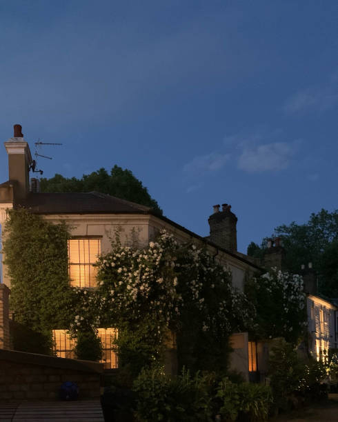 istock Night View of a House Covered in White Blossoms 2165018739