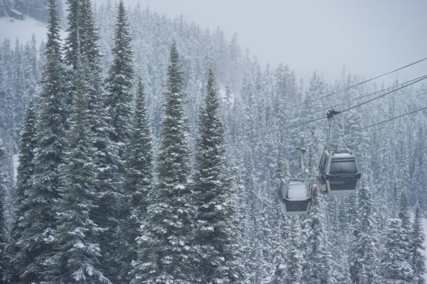 istock Ski resort gondola and forest in winter 2165025037
