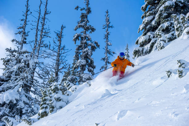 istock Skier skis down slope through fresh powder snow 2165025222