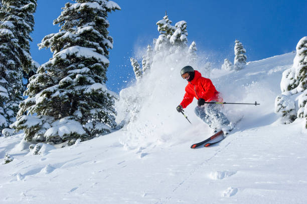 istock Skier skis down slope through fresh powder snow 2165025223