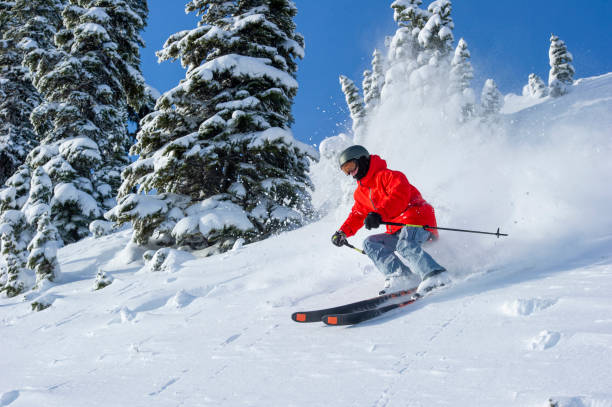 istock Skier skis down slope through fresh powder snow 2165025224