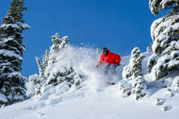 istock Skier skis down slope through fresh powder snow 2165025227
