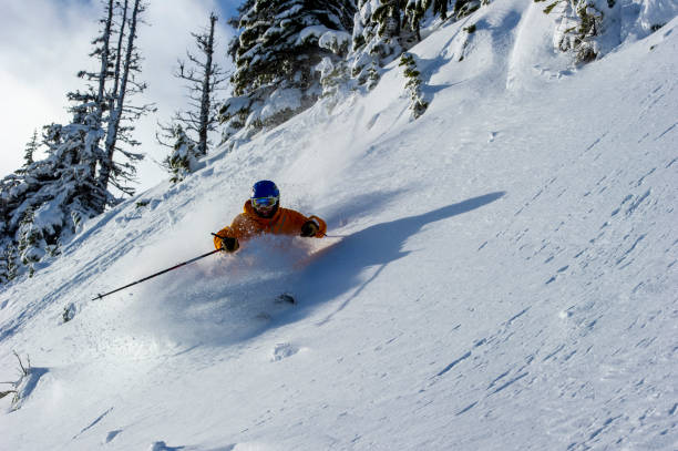 istock Skier skis down slope through fresh powder snow 2165025236