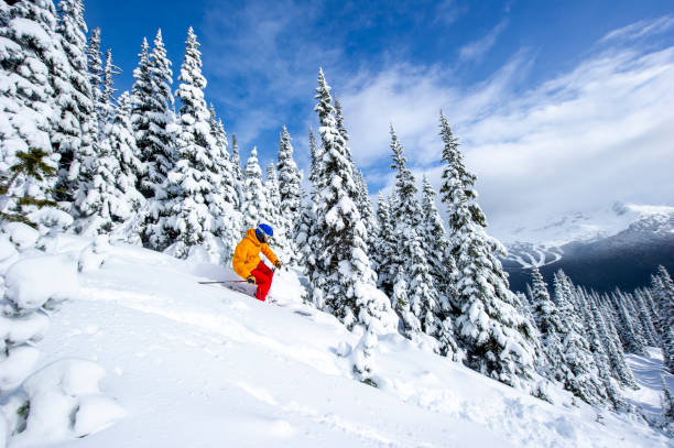 istock Skier skis down slope through fresh powder snow 2165025239
