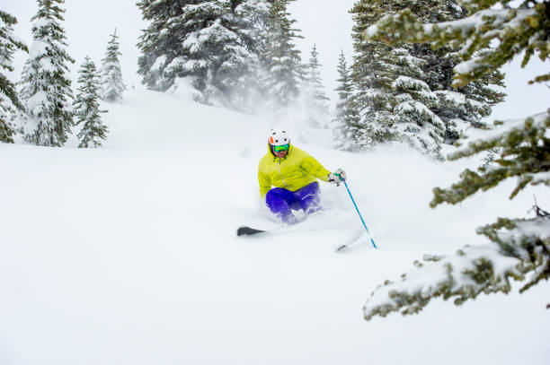 istock Skier skis down slope through fresh powder snow 2165025251
