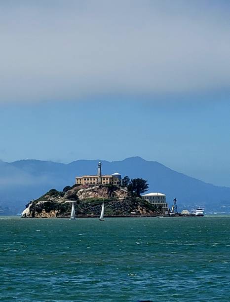 istock Alcatraz Island View from Bay 2165025446