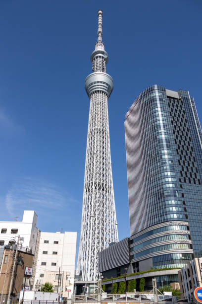 Tokyo, Japan- 11 May, 2024: Tokyo Skytree, a broadcasting and observation tower in Tokyo, Japan. It became the tallest structure in Japan in 2010