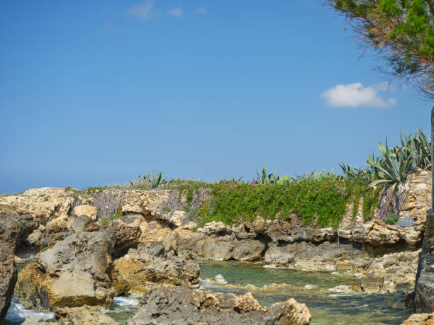 A rocky coastline