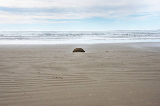 Moeraki Boulders Beach - New Zealand