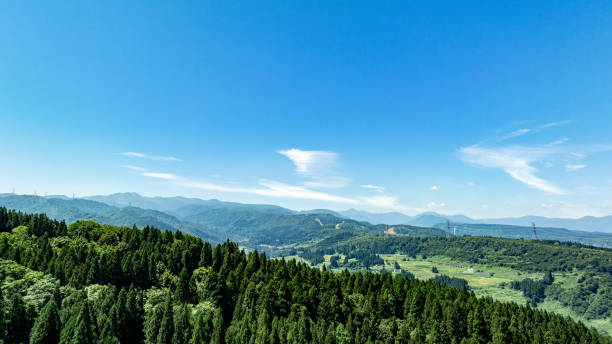 istock Drone photography: Vast summer blue sky and nature 2165037239