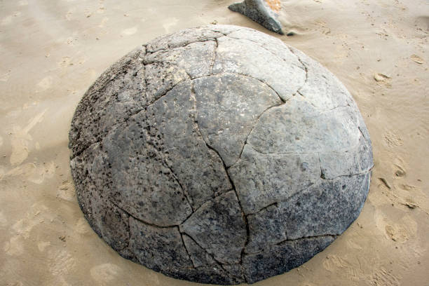 istock Moeraki Boulders Beach 2165038077