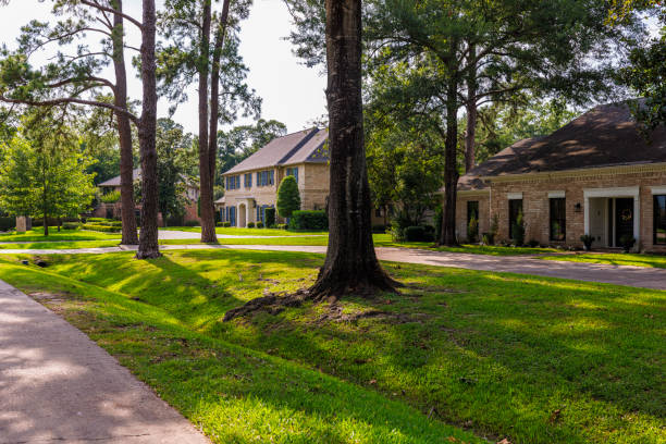 istock Colonial styles on tree-lined streets in affluent East Houston enclave in Texas 2165041104