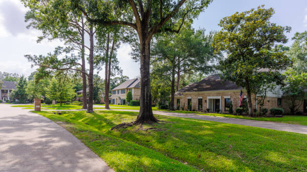 istock Spacious ranch-style homes grace tree-lined East Houston street in Texas 2165041105