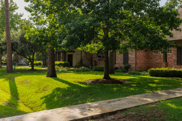istock Tree-lined street with luxury homes. Affluent Houston suburb boasts well-maintained brick houses in Texas 2165041129