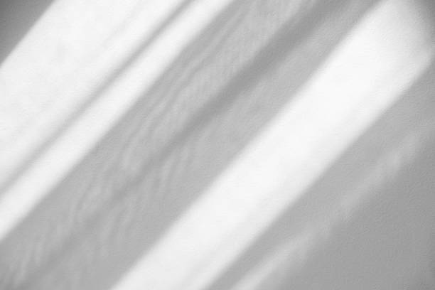 istock Studio style background wall decoration presentation uses white tones. with shadows cast from a nearby window, concept creating a decorative backdrop. 2165048304