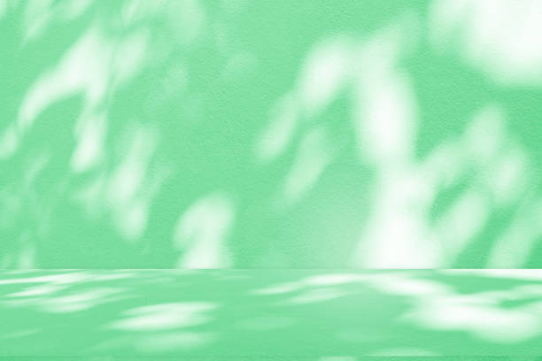 istock Studio style background wall decoration presentation uses white and beige tones. with shadows cast from a nearby window, concept creating a decorative 2165048314