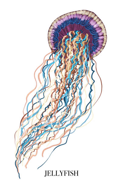 istock Seamless pattern. Intricate Underwater Fantasy: A vibrant and whimsical example of marine life featuring jellyfish in a colorful and artistic underwater world. Perfect for design templates, wallpaper, wrapping, fabric and textile. 2165052883