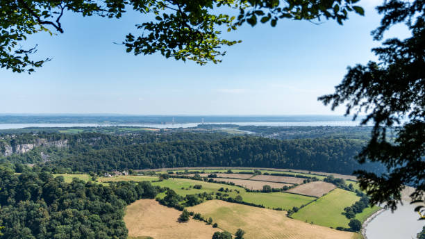 istock Severn bridge emerging from green forest in england countryside 2165052892