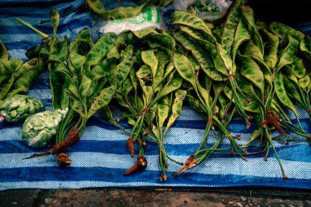 Bunches of Stink bean also known as Petai ( Parkia speciosa ) for sale at the market