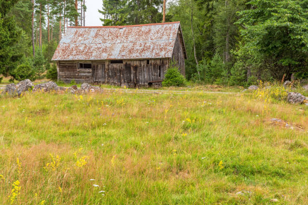 Cozy house near the forest surrounded by trees and natural landscape. Soft natural lighting and peaceful atmosphere. Ideal for nature photography, travel themes, countryside lifestyle, and eco-friendly living concepts.