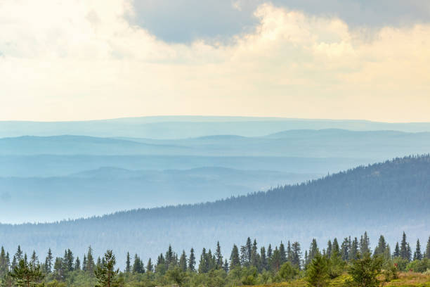 istock Forest landscape view with mist shadings in the valleys 2165055592
