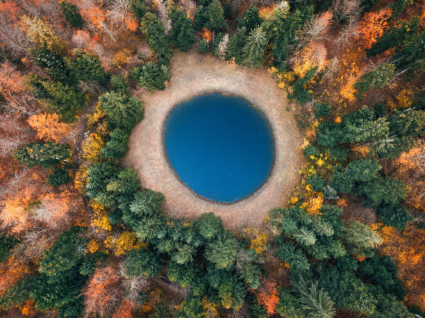 istock Aerial View On Lake In Forest 2165056691