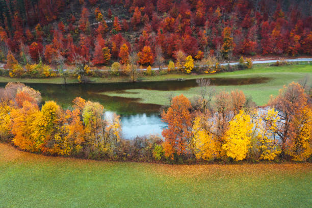 Aerial view on autumn trees by the river.