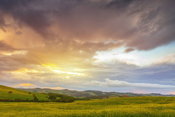 istock Sunset Over Rolling Hills in Tuscany: Tranquil Rural Scene with Rapeseed Field 2165056726