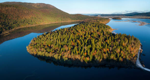 istock Aerial View On Lake With Forest Island 2165056741