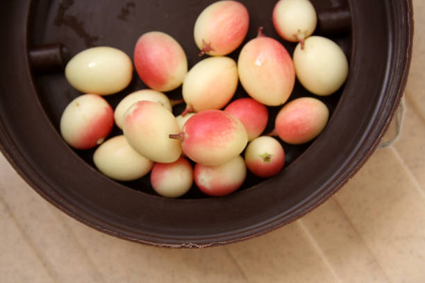 Bengal currant (Carissa carandas) is a flowering shrub in the family Apocynaceae. Also known as Christ's thorn, Carandas plum, Karonda, Karanda and Kanna, it produces berry-sized fruits that are commonly used as a condiment in Indian pickles and spices.