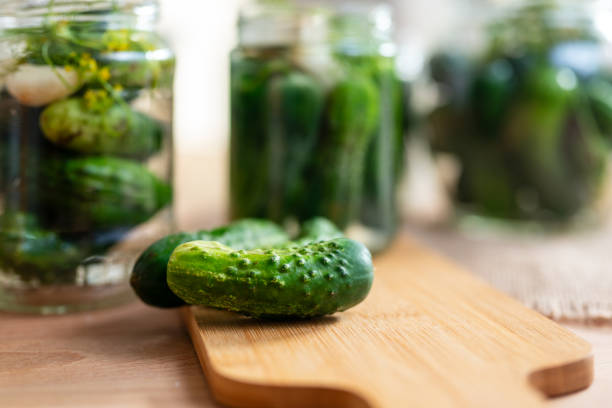 istock Preparation for fermenting fresh cucumbers by a process of pickling called lactic acid fermentation. Such fermented cucumbers have a long shelf life and are a source of probiotics and are low in calories 2165058879