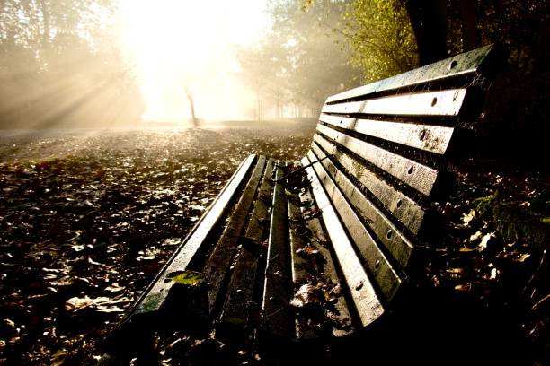 Park in the center of Krakow. Morning. Sunshine. Lights. Krakow. Poland